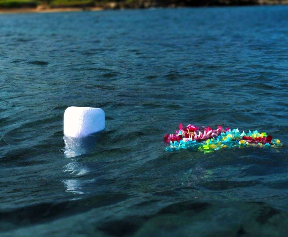 Biologische urn - Eco Water™ wit - 3,80 Liter - Afbeelding 5